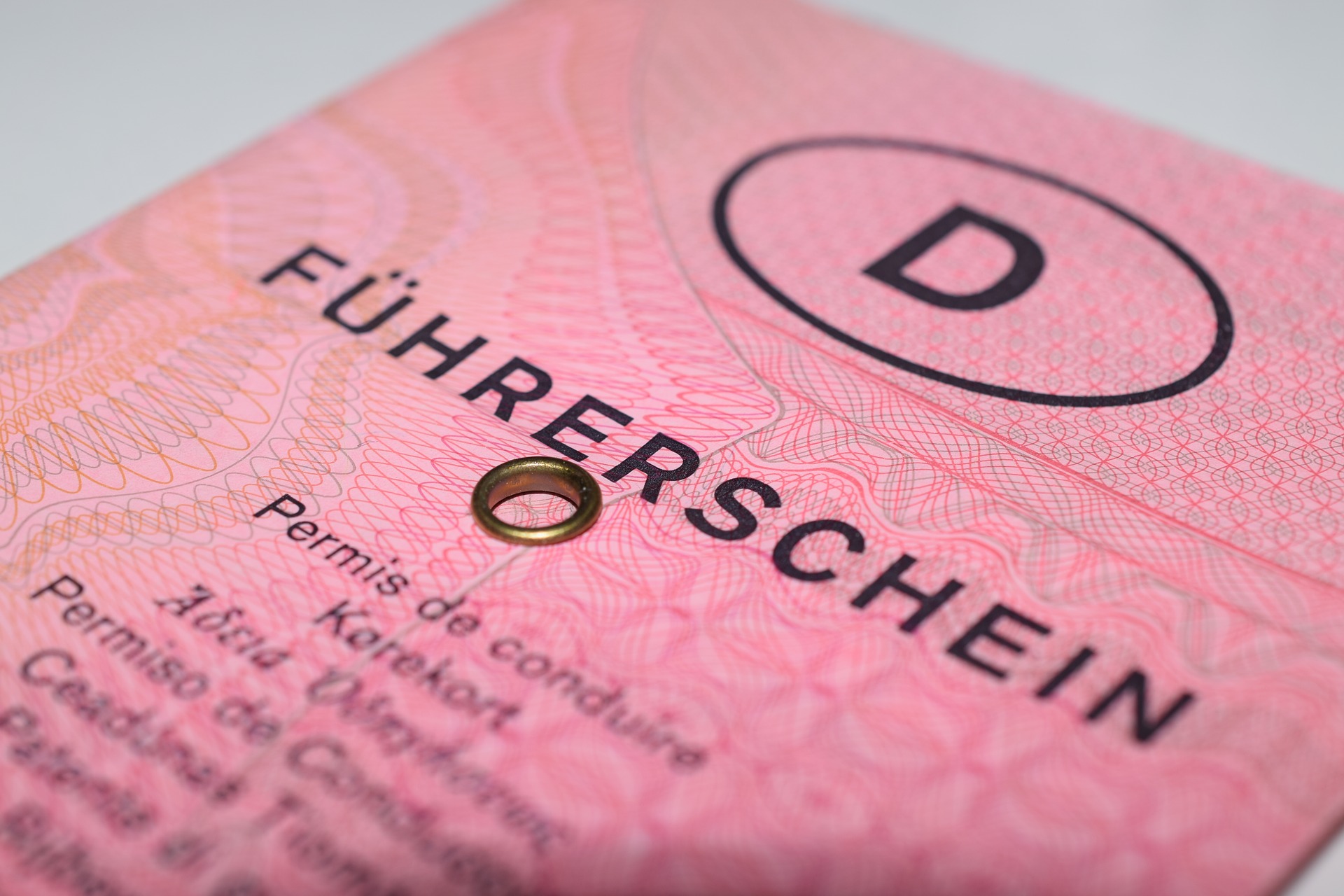 Neuer Führerschein für Millionen Deutsche PRIMATON