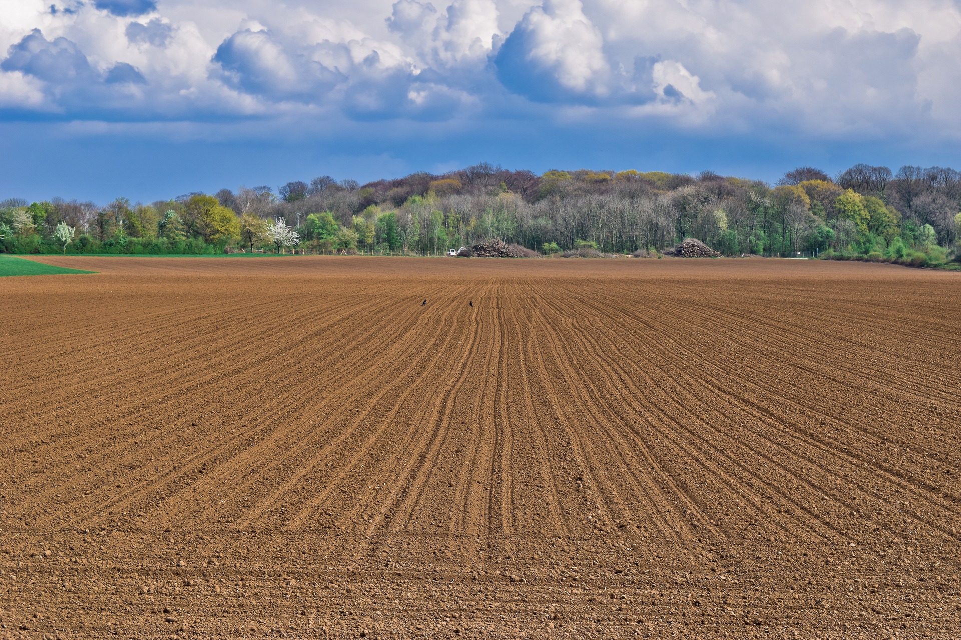 Junkershausen: Landwirt mäht Smiley in Acker