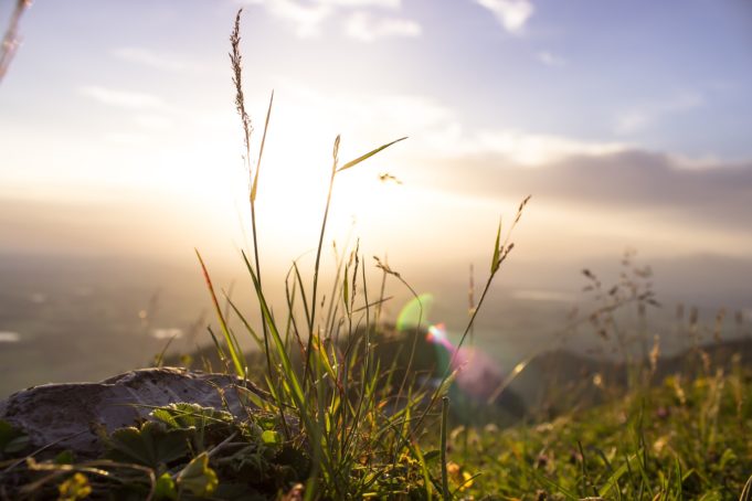 Er sucht sie allgäu