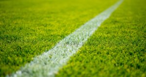 green grass field during daytime