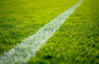 green grass field during daytime