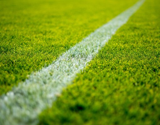 green grass field during daytime