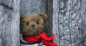 brown bear in red and white striped knit sweater