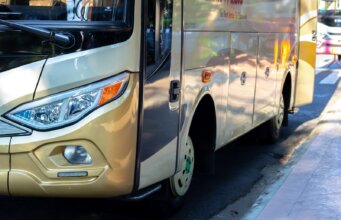 white and brown bus