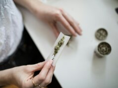 person making cannabis joint