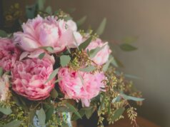 close-up photo of pink petaled flowers bouquet