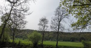 Verwenden