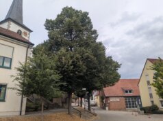 VERWENDEN