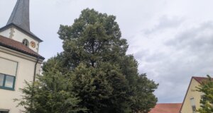VERWENDEN