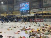 Schweinfurt: Teddywurf-Aktion beim Mighty Dogs-Spiel Foto: Eissportverein